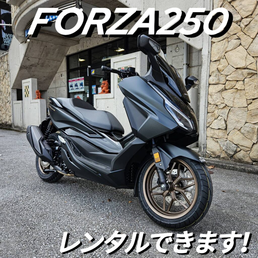 フォルツァ２５０レンタル増車しました！